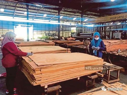 馬來西亞木制品出口迎來爆發期 預計2025年達287億人民幣，產業升級與全球需求雙輪驅動